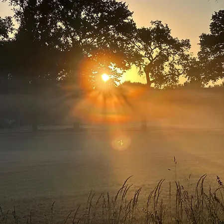 Lejlighed Revierruhe